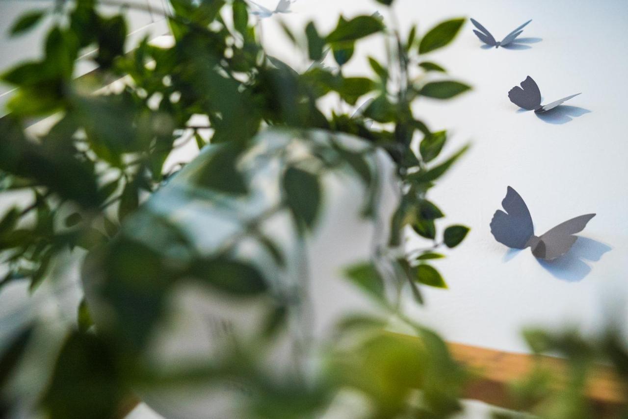 Mariposa Lägenhet San Miguel de Abona Exteriör bild